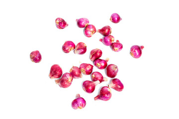 Shallot onions in a group isolated on white background.shallot or red 