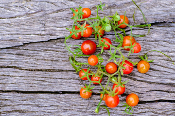 Fototapeta na wymiar Traditional small fresh tomato fruit on wood background