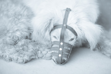 Ferocious dog, Dog muzzle basket mouth cover.