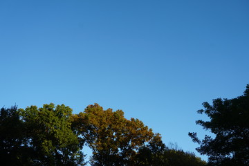 Obraz premium Gazing at the sky up high