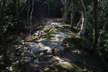 沼津アルプスの稜線