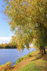 autumn landscape with river