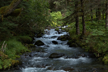Fast Moving water of rural Alaska