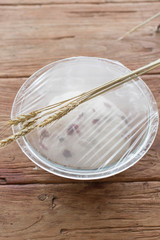 チョコレートパンの作り方