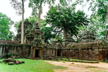 Ta Prohm, Angkor, Siem Reap, Cambodia in 2019
