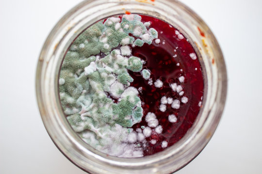 Mold in a jar of jam. Hazardous to health. Mold.