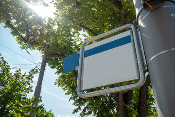 Empty sign on fresh green tree and blue sky with cloud background , copy space