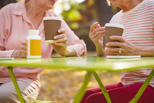 Meeting of old friends in the morning