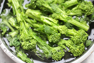 春野菜の菜の花のイメージ写真