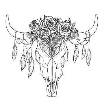 Bull skull with rose flowers and feathers hanging from the horns. Isolated vector illustration. Can be tattoo flash, tote bag print, sticker and more. Boho design, poster, t-shirt textile.