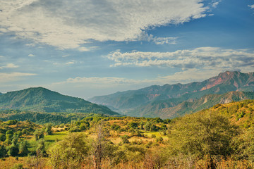 Mountains. Dense forests among hills and highland. Happy international mountain day.