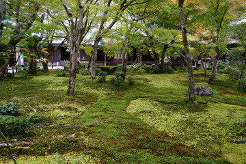 秋の気配が漂う京都圓光寺の庭園