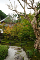 秋の気配が漂う京都圓光寺の庭園