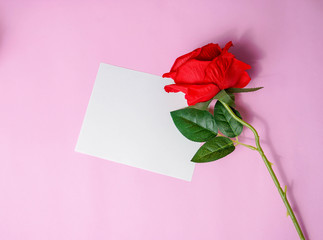 greeting card with red roses and red gif box with pastel pink background