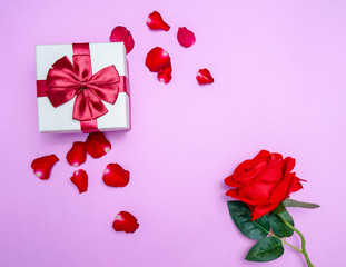 greeting card with red roses and red gif box with pastel pink background