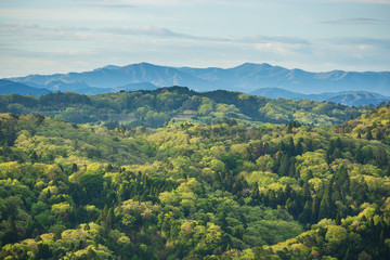 Obraz premium 新緑の山