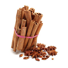 Cinnamon and anise on white background