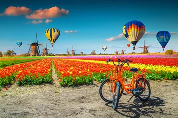 Poster Kleurrijke tulpenvelden, fietsen, windmolens en heteluchtballonnen, Nederland © janoka82