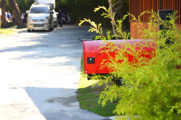red mail box behind green tree with blur limousine background.