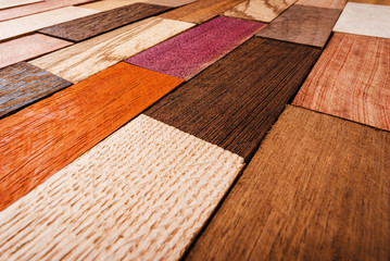 Set of exotic valuable wood for the catalog, texture and structure of the material