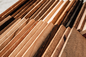 Set of exotic valuable wood for the catalog, texture and structure of the material