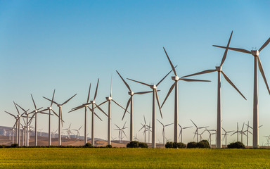 Large group of white wind generators produces alternative energy by wind on the fields in Europe in...
