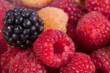 Background of group of colorful raspberries macro