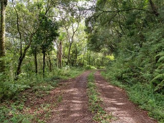  a road through the canyons