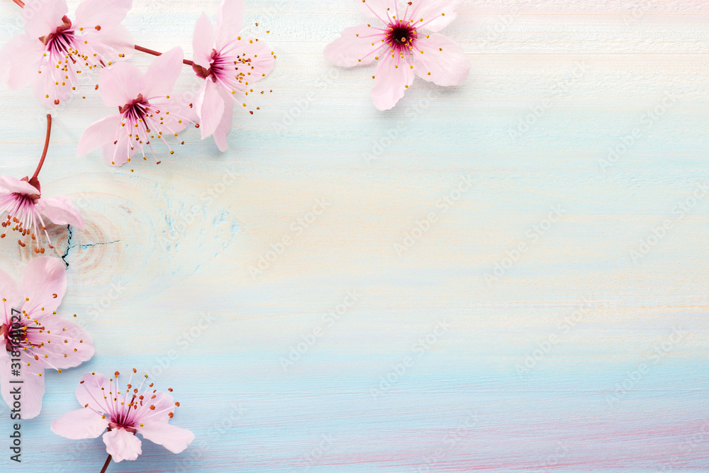 Sticker flowers of sakura on colorful wooden board. flat lay.