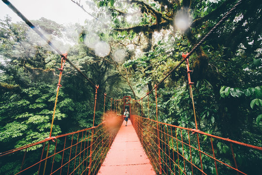 Man with backpack walking on hanging bridge through rain forest and take a photo, national park Monteverde, Costa Rica