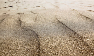 Fototapeta na wymiar background of sand dunes in close-up