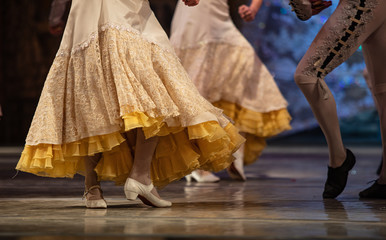 Don Quixote ballet. Closeup of ballerinas dancing © Ruslan