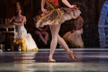 Don Quixote ballet. Closeup of ballerinas dancing © Ruslan