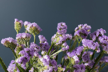 beautiful colorful fresh statice flower bouquet