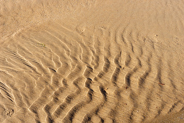 Fototapeta na wymiar Sand beach texture. Wet sandy beach background