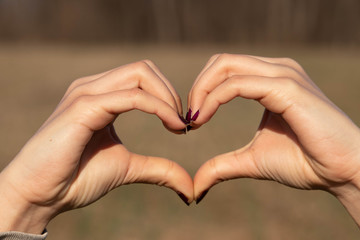 Heart made by hands. Silhouette of heart shape made by hands with brown field background.