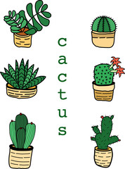 Flat green cactus design icon.