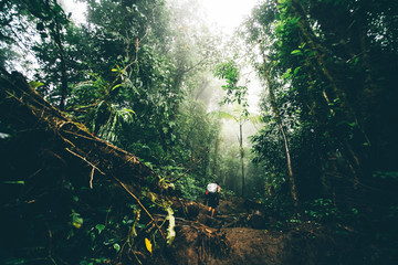 Man with backpack walking on trail through rain forest and enjoy journey and the sight of trees ,...