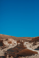 nature poster. Desert landscape.