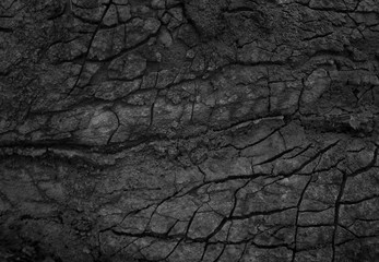 Dry ground texture