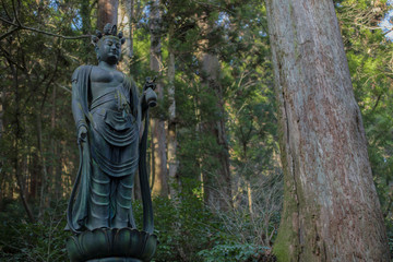 Fototapeta na wymiar statue of black buddha standing on a flower in the forest