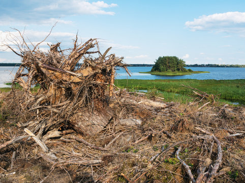 Deforestation in the floodplain of the river.