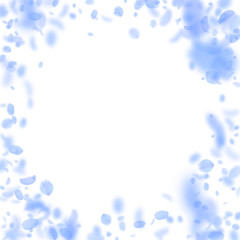 Dark blue flower petals falling down. Actual roman