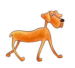 Full length dog of a fighting breed, drawn in cartoon style on a white background. Digital illustration