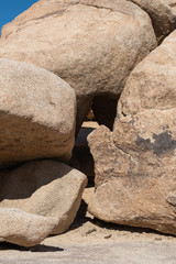 Stones and rocks in the desert of Joshua tree national park, california