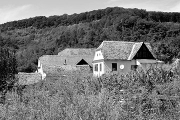 Typical rural landscape and peasant houses in  the village Alma Vii (Almen) Transylvania, Romania....