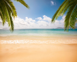 Empty tropical beach background with copy space