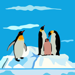 background in blue colors, penguins on the iceberg