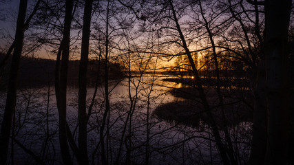 sunset on a lake through branches