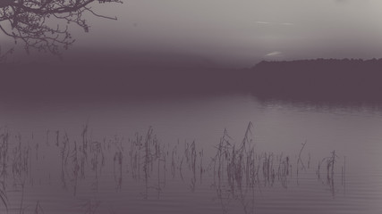 foggy lake